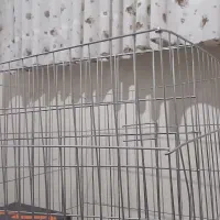 ملزومات پت خانگی کاملا نو