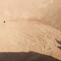 راننده بیل مکانیکی هستم ۱۶سال سابقه حرفه ای و فنی
