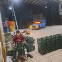 جهت همکاری کارخانه سبد سازی شفت شب نیازمندیم
