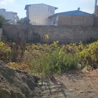 زمین 187متری در خیابان کفشگرکلا