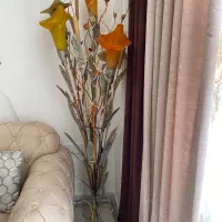 اباژور،کنارسالنی