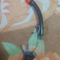 اسنورکل شنا