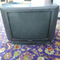 تلویزیون