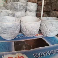 فروش گلدان،اپارتمانی