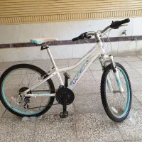 دوچرخه نوجوان ۲۴ جاینت مدل liv