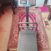 باسکول ۳۰۰کیلویی