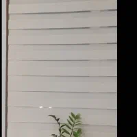 پرده زبرا