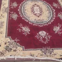 فرش|فرش|برازجان, |دیوار