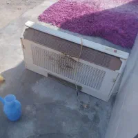 هود