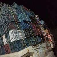خرید سبد و کارتن موزی