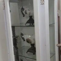 گنجه سالم