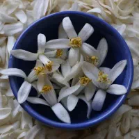 عرق بهارنارنج اعلا - ۱۰۰٪ ارگانیک و سنتی