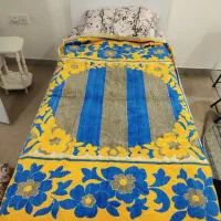 چای مورچه وچادر