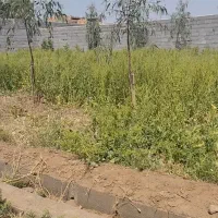 باغچه 300 متری همراه با آب معاوضه با خودرو