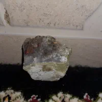 یک عدد سنگ شجر