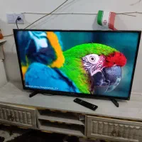 ال ای دی32اینچ هایسنس کره ای اصل درحداک نونو