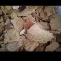 نان خشک