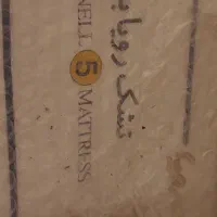 تشک نوجوان رویا