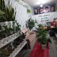 زمین-و-ملک-مسکونی-تجاری-و-کشاورزی