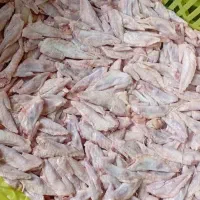 ضایعات مرغ آشغال گوشت