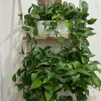 شلف دیواری مکرومه بافی  سه طبقه