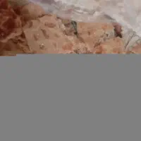 نون خشک