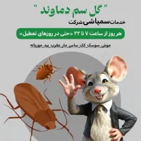 سمپاشی تضمینی موش سوسک کک ساس سم پاشی شیراز و صدرا