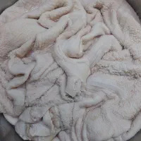 گوشت|خوردنی و آشامیدنی|ارومیه, |دیوار