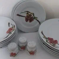ظرف چینی ۱۹ تیکه