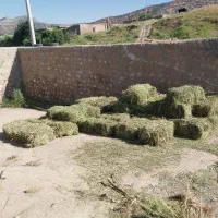 یونجه چین ۱