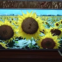 تلوزیون ال ای دی 50 اینچ ال جی اصل کره درحدنو