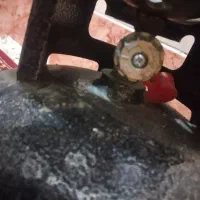پیک نیک سالم ونو
