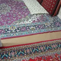 اجاره اتاق روزانه تربت حیدریه