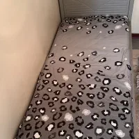 تخت و تشک