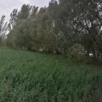 زمین روستای قارنجه