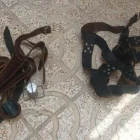 هیکلی