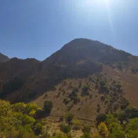 تور گردشگری
