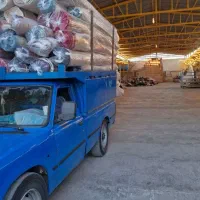استخدام راننده  وکارگر ساده جهت کار در قالیشویی