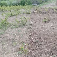 رمین-مسکونی