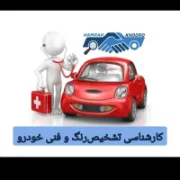 کارشناسی وتشخیص سلامت خودرو.نوری.