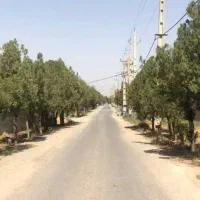 زمین-شهرک-افتاب-انتهای-جاده-سهیلیه