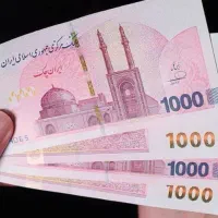 کار در منزل ( برای خودت کار کن)