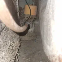 کولر آبی ۷۵۰۰