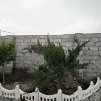 باغ-و-باغچه-وزمین-168متر-معاوضه-با-خودرو
