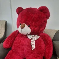 خرس ۲ متری