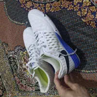 کفش فوتسال اورجینال