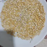 لپه کاغذکنان
