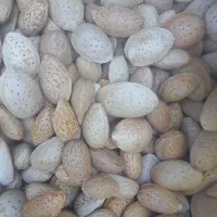 گردوبادام کشمش به قیمت روز