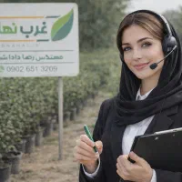 فروش ویژه نهال سیب زیتون فندق گلابی انار سماق به