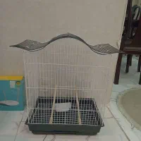قفس